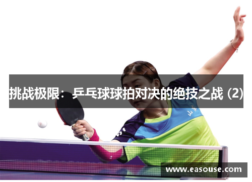 挑战极限：乒乓球球拍对决的绝技之战 (2)