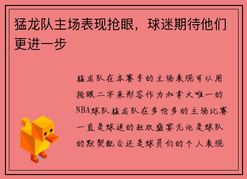 猛龙队主场表现抢眼，球迷期待他们更进一步